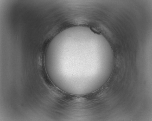 X0000073970210200609051854