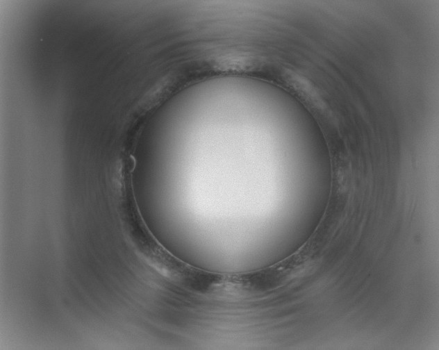 X0000073970211200609051854