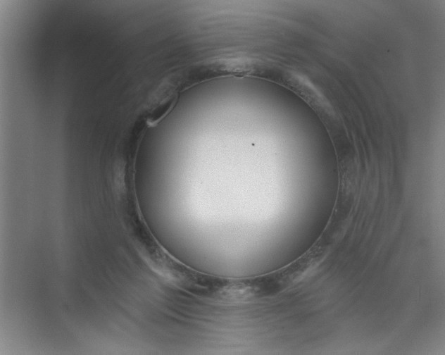 X0000073970213200609051854