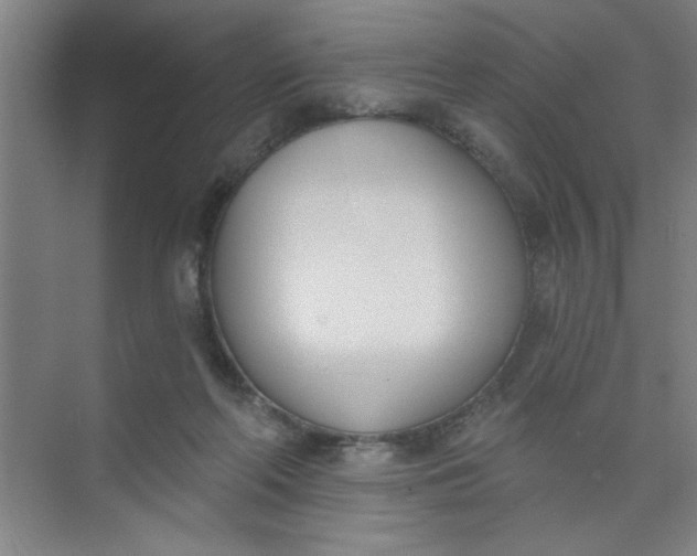 X0000073970214200609051853