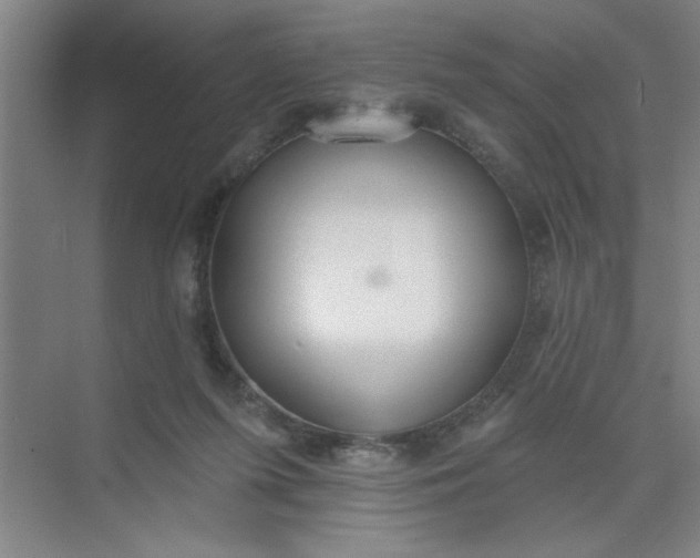 X0000073970215200609051853