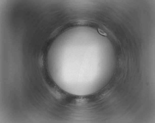 X0000073970216200609051853