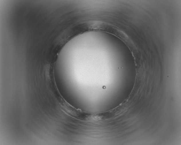 X0000073970217200609051853