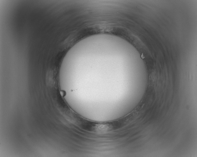 X0000073970218200609051853