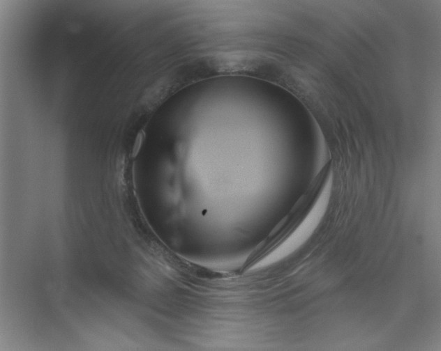 X0000073970219200609051853