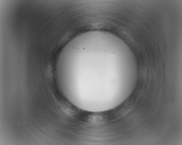 X0000073970220200609051853