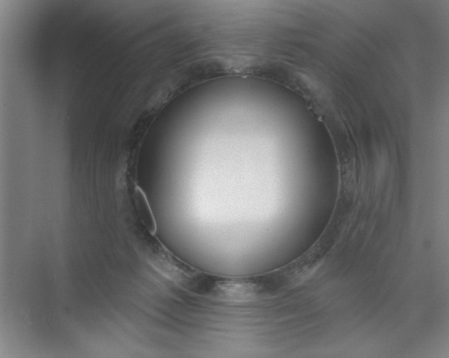 X0000073970221200609051853