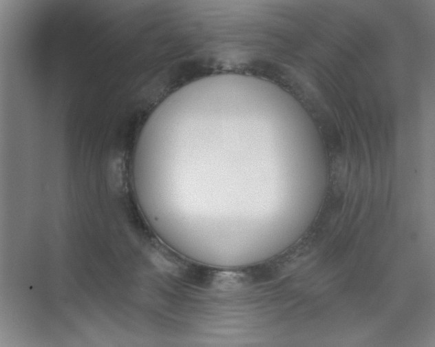 X0000073970222200609051853