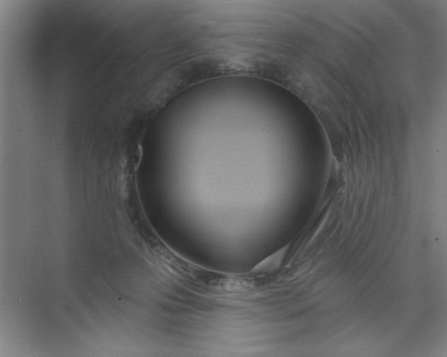 X0000073970223200609051853