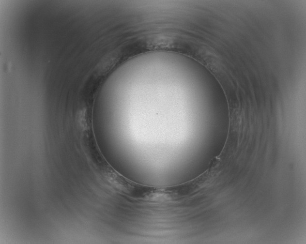 X0000073970224200609051853