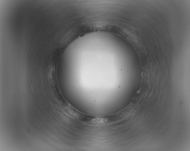 X0000073970225200609051853