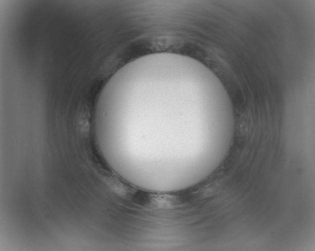 X0000073970226200609051853