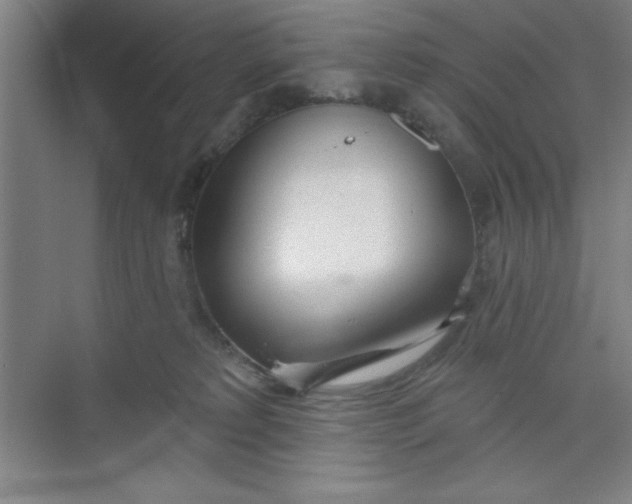 X0000073970229200609051853