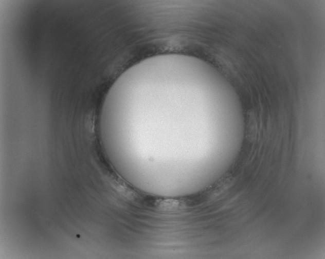 X0000073970230200609051853