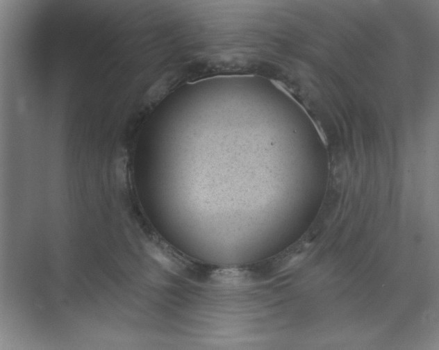 X0000073970231200609051853