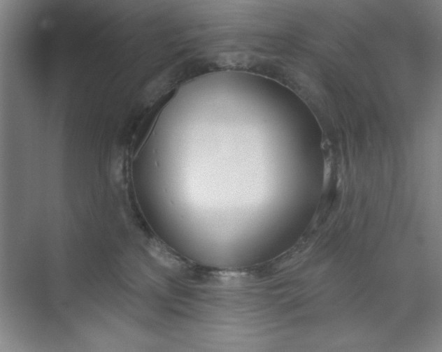 X0000073970233200609051853