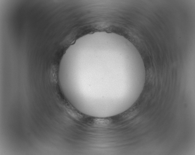 X0000073970234200609051853