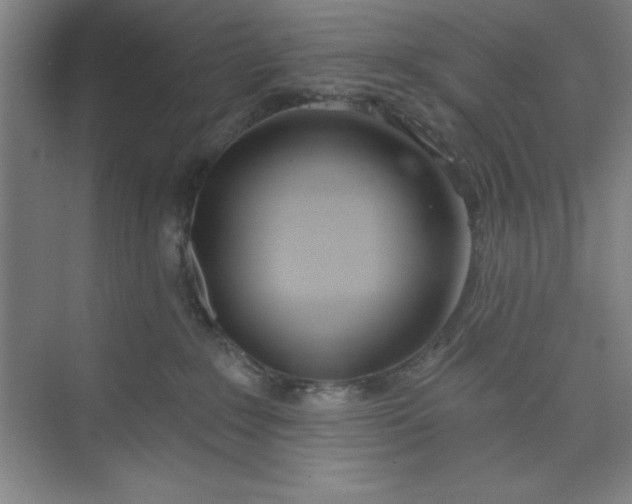 X0000073970235200609051853