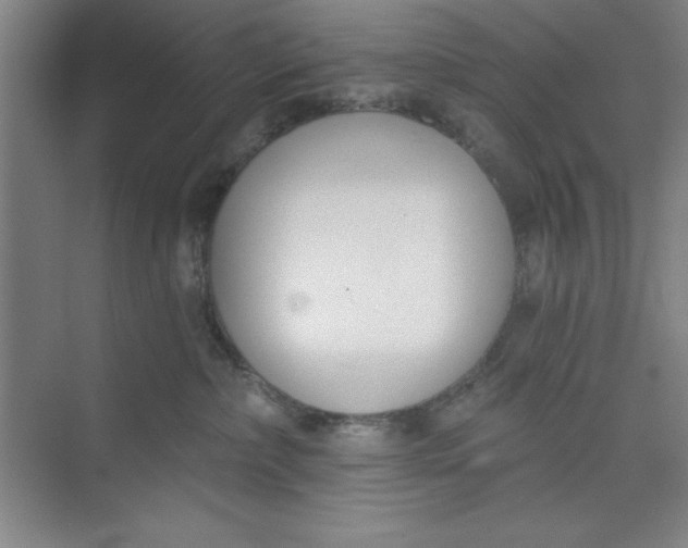 X0000073970236200609051853