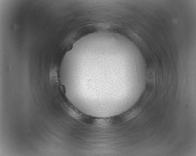 X0000073970238200609051853