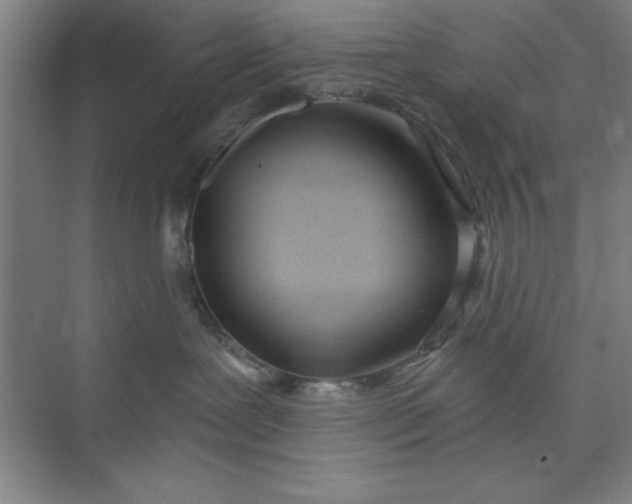 X0000073970239200609051853