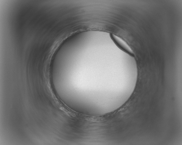 X0000073970241200609051852