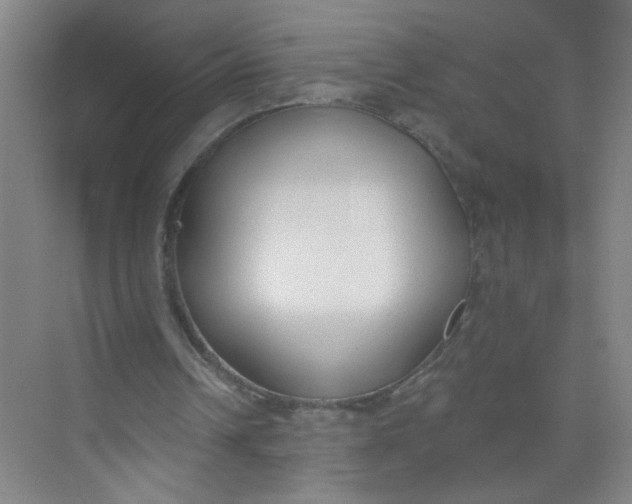 X0000073970242200609051852