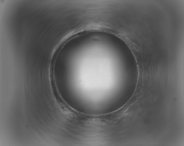 X0000073970244200609051852