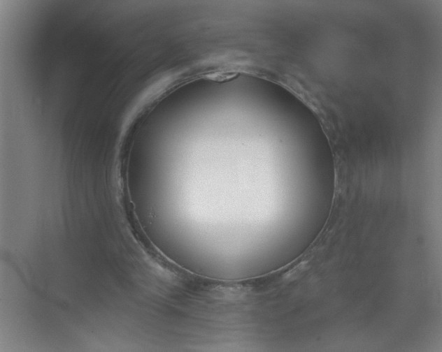 X0000073970245200609051852