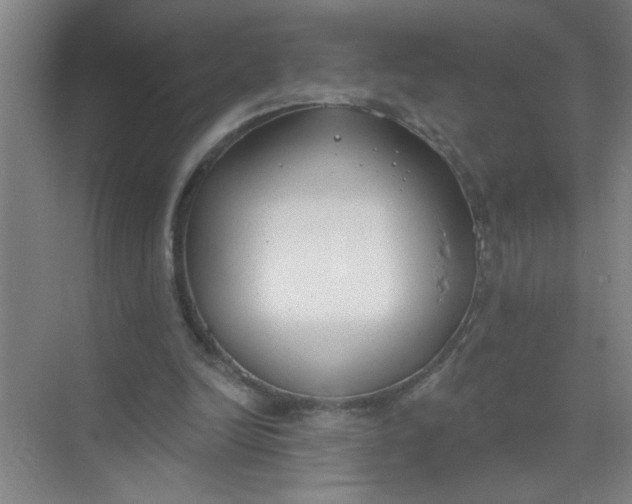 X0000073970246200609051852