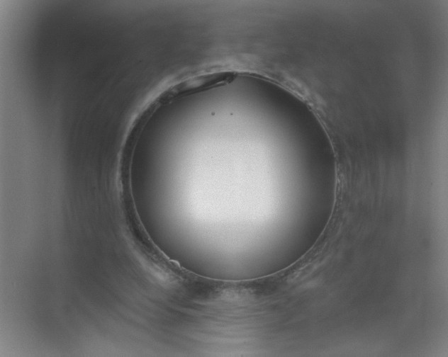 X0000073970248200609051852