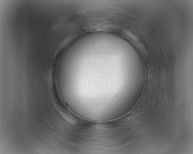 X0000073970250200609051852