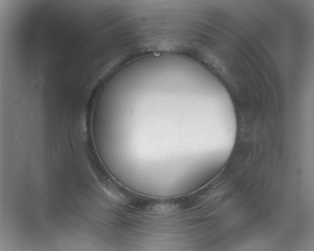 X0000073970251200609051852