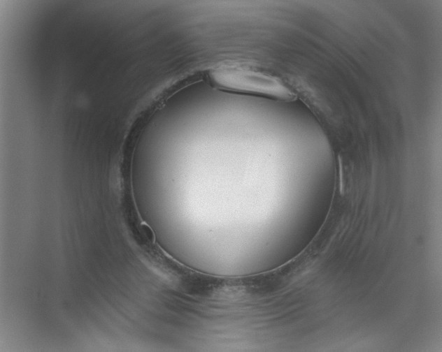 X0000073970252200609051852