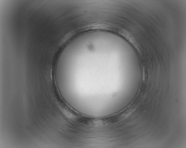 X0000073970253200609051852