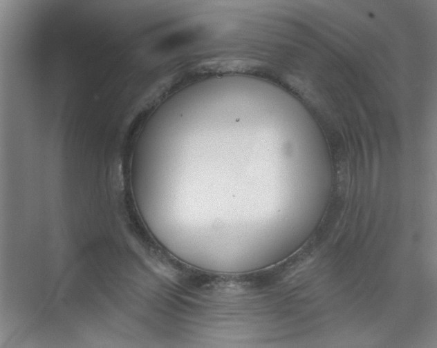 X0000073970254200609051852