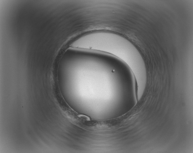 X0000073970256200609051853