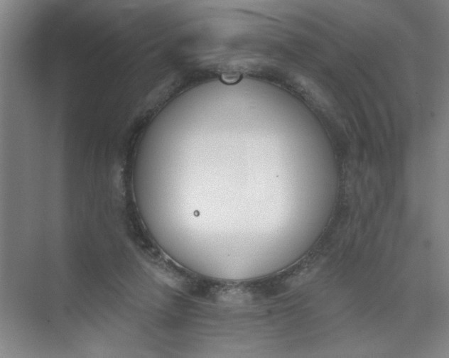 X0000073970258200609051853