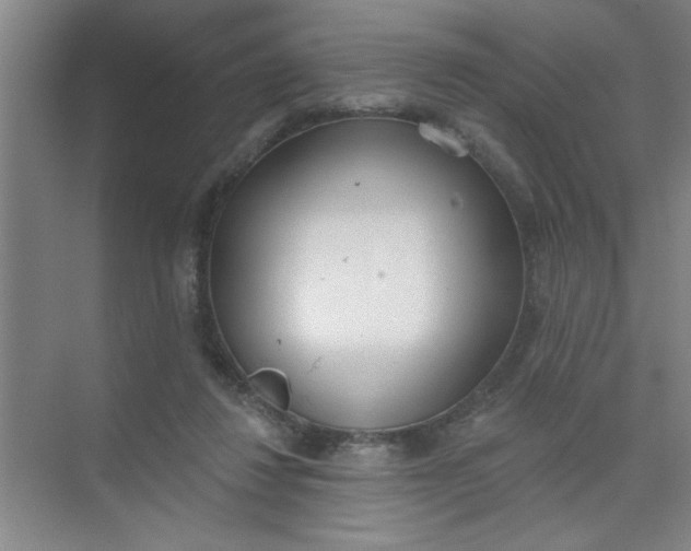 X0000073970260200609051853