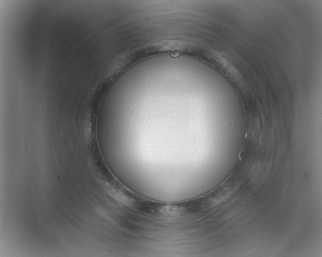 X0000073970261200609051853