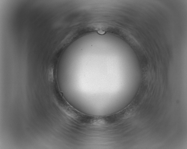 X0000073970262200609051853