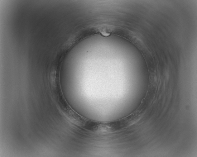 X0000073970263200609051853