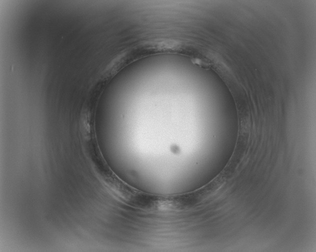 X0000073970264200609051853