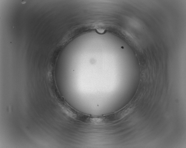 X0000073970265200609051853