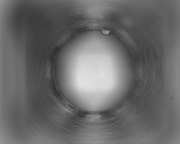 X0000073970266200609051853