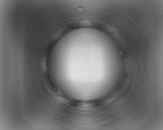 X0000073970267200609051853