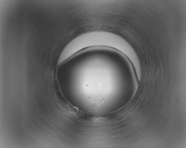 X0000073970268200609051853