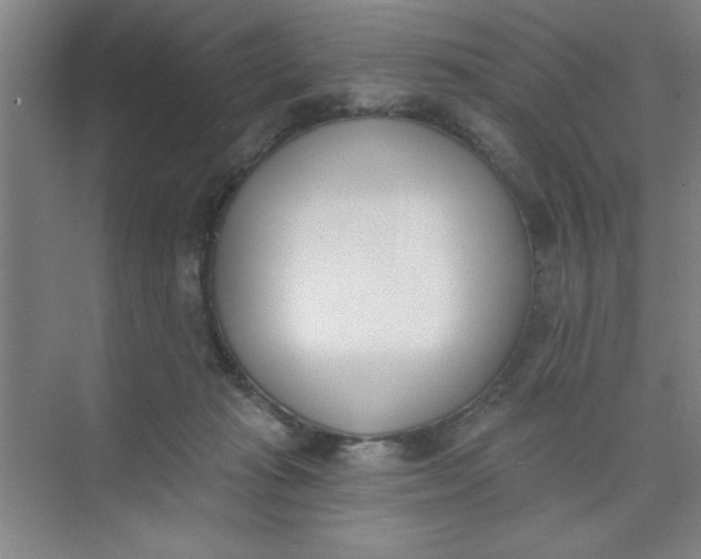 X0000073970269200609051853