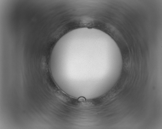 X0000073970270200609051853