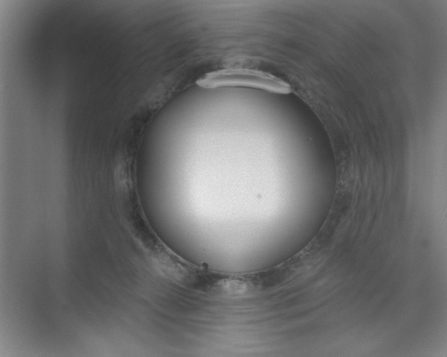 X0000073970272200609051853